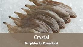  Presentation with top view of fresh fish - Presentation featuring fresh raw common sole fishes background and a gray colored foreground