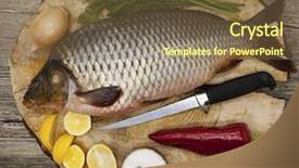  Presentation with fish - Beautiful PPT layouts featuring fresh raw fish carp caught backdrop and a tawny brown colored foreground