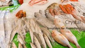  Presentation with fish - Presentation with fresh-raw-fish-on-ice and a  colored foreground