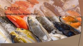  Presentation with fish - Presentation design featuring fresh-raw-fish-selling background and a coral colored foreground