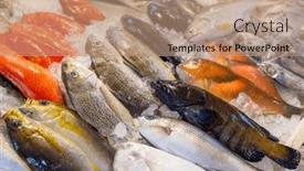  Presentation with fish - Presentation design consisting of fresh-raw-fish-selling background and a coral colored foreground