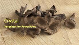  Presentation with mushrooms - Slide deck having fresh raw horn of plenty background and a tawny brown colored foreground