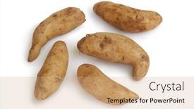  Presentation with background - Audience pleasing theme consisting of fresh-raw-kipfler-potatoes-isolated backdrop and a coral colored foreground