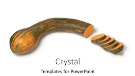  Presentation with background - PPT theme featuring fresh-raw-long-neck-pumpkin background and a white colored foreground