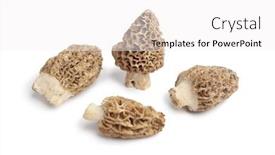  Presentation with fresh water splash green apple isolated white - PPT layouts consisting of fresh-raw-morels-isolated background and a white colored foreground