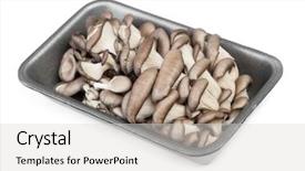  Presentation with oyster mushrooms fresh mushrooms - Presentation with fresh raw oyster mushrooms background and a light gray colored foreground