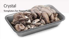  Presentation with oyster mushrooms fresh mushrooms - Audience pleasing presentation consisting of fresh raw oyster mushrooms backdrop and a light gray colored foreground