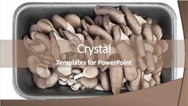  Presentation with oyster mushrooms fresh mushrooms - Presentation theme featuring fresh raw oyster mushrooms background and a coral colored foreground