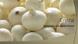  Presentation with pearl - Presentation theme enhanced with fresh-raw-pearl-onions-close background and a coral colored foreground