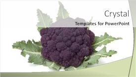 Presentation with purple - Slides featuring fresh-raw-purple-broccoli-isolated background and a  colored foreground