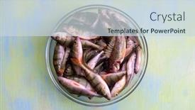  Presentation with fish river - PPT layouts consisting of fresh-raw-river-fish background and a sky blue colored foreground