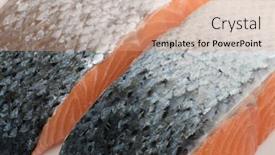 Presentation with steaks - Amazing PPT theme having fresh raw salmon steaks with silver skin close up backdrop and a coral colored foreground