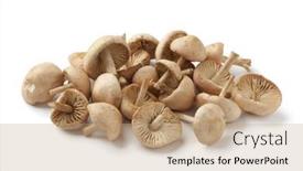  Presentation with scotch - Audience pleasing theme consisting of fresh-raw-scotch-bonnet-mushrooms backdrop and a coral colored foreground