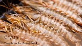  Presentation with grill - 