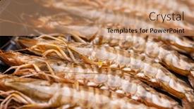  Presentation with grill - 