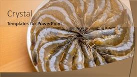  Presentation with shrimp - 