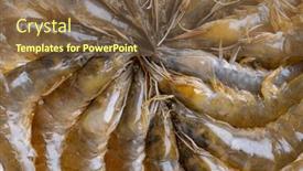  Presentation with shrimp - Presentation theme enhanced with fresh-raw-shrimp-prepare background and a tawny brown colored foreground