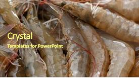  Presentation with shrimp - Amazing presentation theme having fresh raw shrimp backdrop and a tawny brown colored foreground