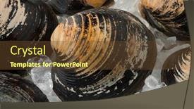  Presentation with clams - Amazing PPT theme having fresh-raw-spisula-solida-surf backdrop and a tawny brown colored foreground