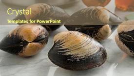  Presentation with clams - Colorful presentation design enhanced with fresh-raw-spisula-solida-surf backdrop and a violet colored foreground