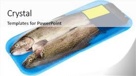  Presentation with trout - Amazing PPT theme having fresh-raw-trout-isolated backdrop and a white colored foreground
