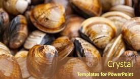  Presentation with clam - Slide deck consisting of fresh-raw-uncooked-clam background and a red colored foreground