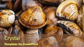  Presentation with clam - Slide set enhanced with fresh-raw-uncooked-clam background and a tawny brown colored foreground
