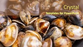  Presentation with clam - Slide deck enhanced with fresh-raw-uncooked-clam background and a red colored foreground