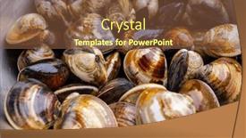  Presentation with clam - Slide deck consisting of fresh-raw-uncooked-clam background and a tawny brown colored foreground