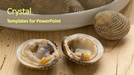  Presentation with venus - Theme enhanced with fresh raw warty venus background and a tawny brown colored foreground