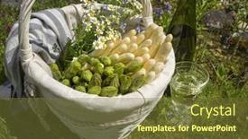  Presentation with white green - Theme featuring fresh-raw-white-and-green background and a tawny brown colored foreground