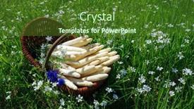  Presentation with asparagus - Slide deck featuring fresh-raw-white-asparagus background and a  colored foreground