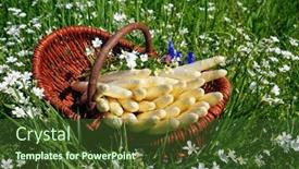  Presentation with light green - Slide set featuring fresh-raw-white-asparagus background and a  colored foreground