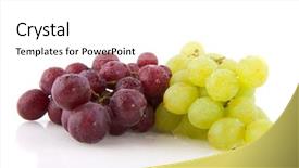  Presentation with fresh water - Presentation design with fresh red and white grapes with water drops isolated over white background and a white colored foreground