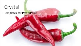  Presentation with red chilli - PPT layouts consisting of fresh-red-chilli-peppers-isolated background and a white colored foreground