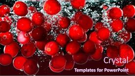  Presentation with leaf water drops fresh - Presentation enhanced with fresh-red-cranberries-falling background and a wine colored foreground