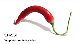  Presentation with red chilli - Slide set with fresh red hot chilli chilies background and a white colored foreground