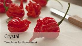  Presentation with chili - Presentation consisting of fresh red hot scorpion chili background and a soft green colored foreground