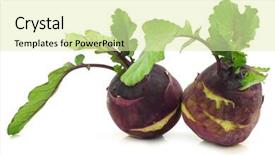  Presentation with red and white abstract - Colorful theme enhanced with fresh red kohlrabi brassica oleracea backdrop and a  colored foreground