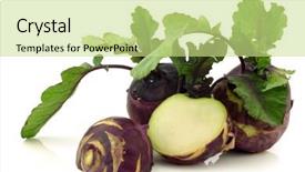  Presentation with red - Cool new PPT layouts with fresh red kohlrabi brassica oleracea backdrop and a  colored foreground