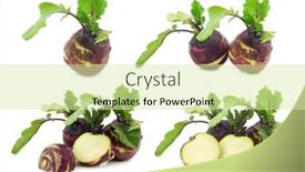  Presentation with cut - Presentation theme consisting of fresh-red-kohlrabi-brassica-oleracea background and a soft green colored foreground