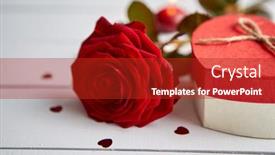  Presentation with rose flower - Presentation with fresh-red-rose-flower background and a crimson colored foreground