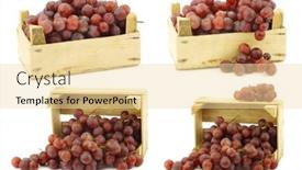  Presentation with vine - PPT theme consisting of fresh-red-seedless-grapes background and a blonde colored foreground