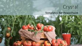  Presentation with tomato juice - 