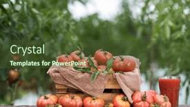  Presentation with tomato juice - 