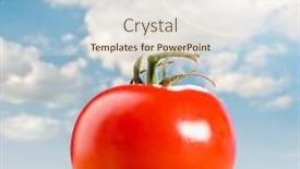  Presentation with tomato - PPT theme having fresh red tomato on table against sunny skies background and a sky blue colored foreground