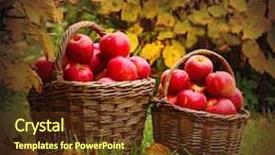  Presentation with retro - Presentation design featuring gardens themes - fresh ripe apples background and a tawny brown colored foreground