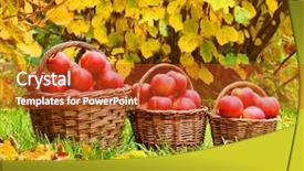  Presentation with bio - Audience pleasing presentation consisting of fresh ripe apples backdrop and a crimson colored foreground