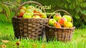  Presentation with bio - Beautiful slide set featuring fresh ripe apples in the basket picture on theme autumn at the bio garden backdrop and a tawny brown colored foreground