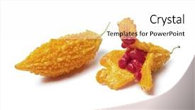  Presentation with bitter melon - PPT theme having close-up of woman's hands knitting vintage filter selective focus background and a coral colored foreground